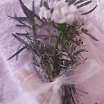 度假居 Nonna Nesti