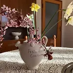 Nonna Nesti *