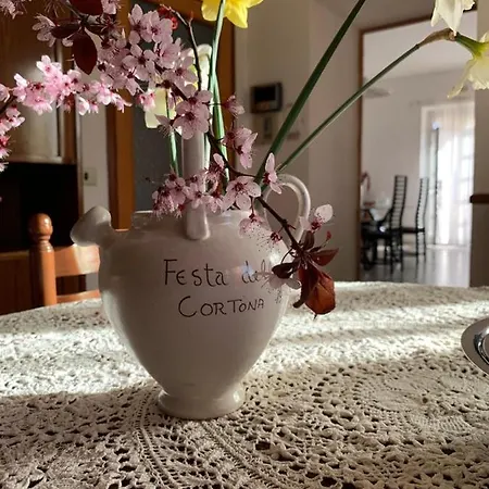 Nonna Nesti * קורטונה