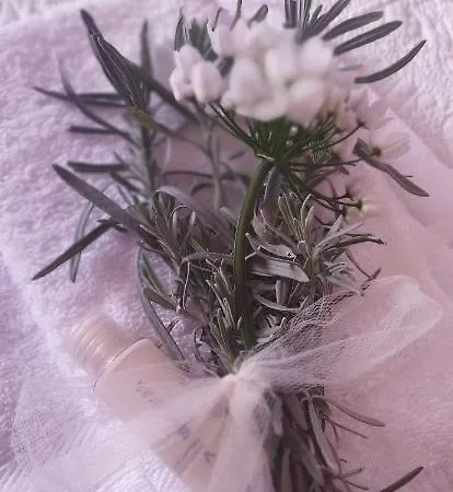 בית נופש Nonna Nesti