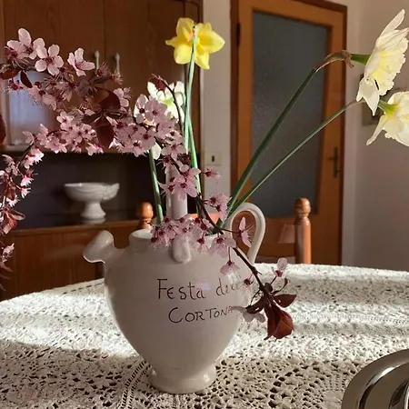 Nonna Nesti *