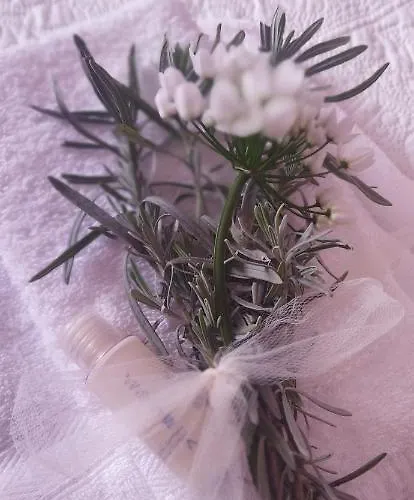 Дом отдыха Nonna Nesti