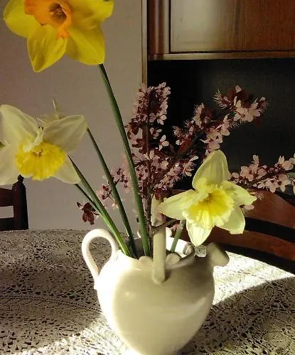 Nonna Nesti * Кортона